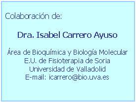 Firma: Isabel Carrero